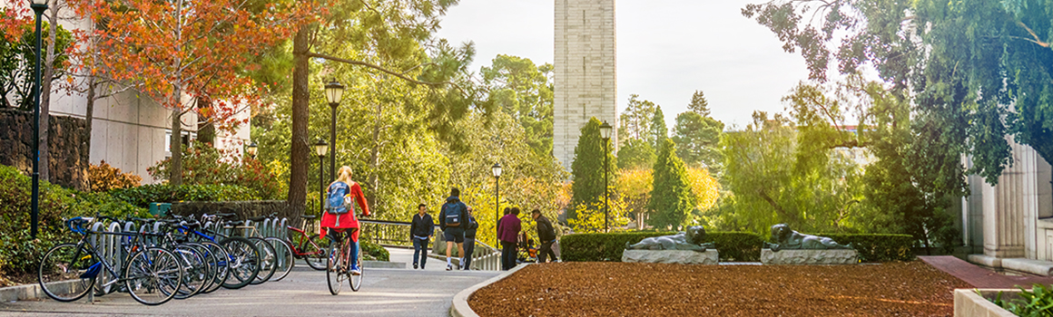 Visiting International Students | Berkeley Summer Sessions