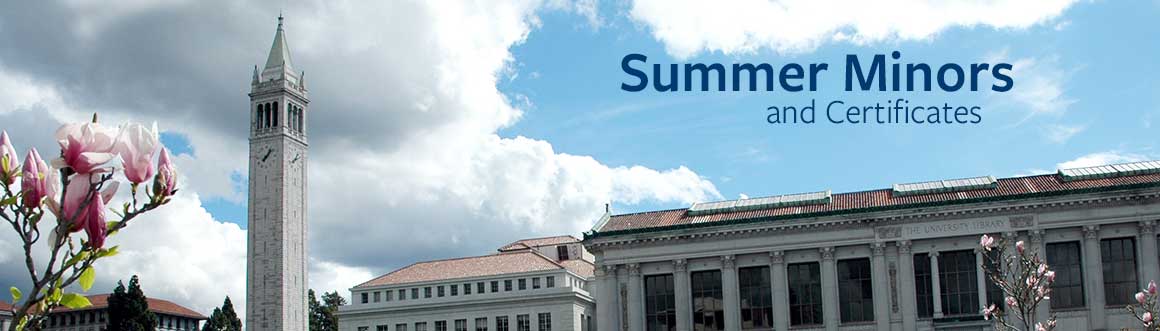 Summer Minors at Berkeley | Berkeley Summer Sessions